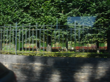 a0247585_761059.jpg