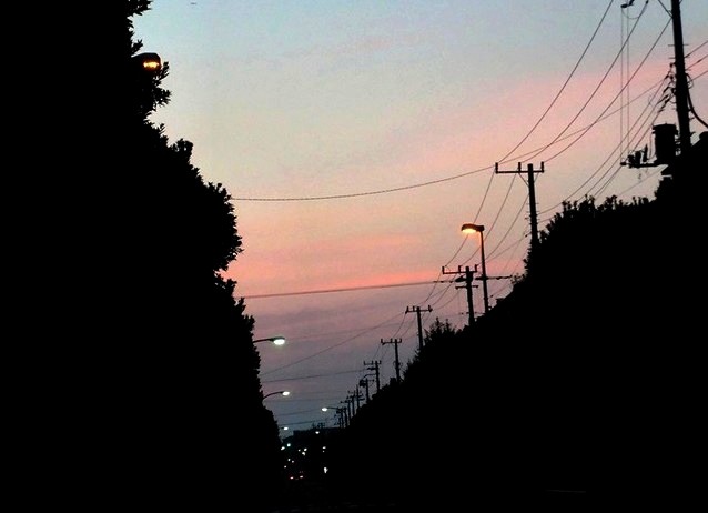 e0143690_6452010.jpg