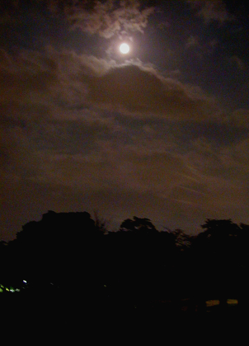 d0053294_2352565.jpg