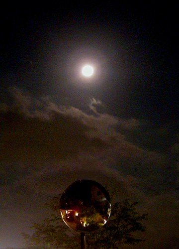 d0053294_23531092.jpg