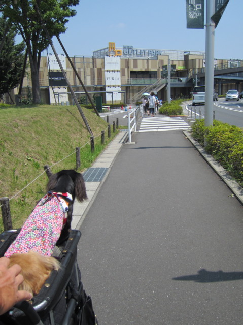 d0098295_22195447.jpg