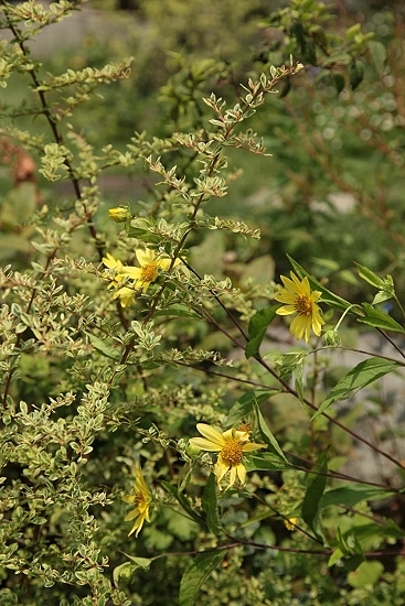 e0209997_0543557.jpg
