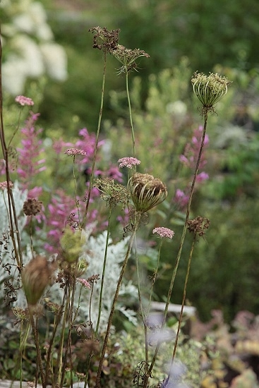e0209997_0555714.jpg