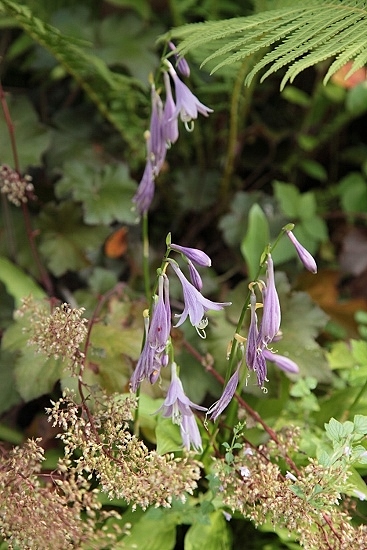 e0209997_0582731.jpg