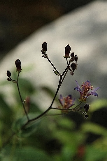 e0209997_0583963.jpg