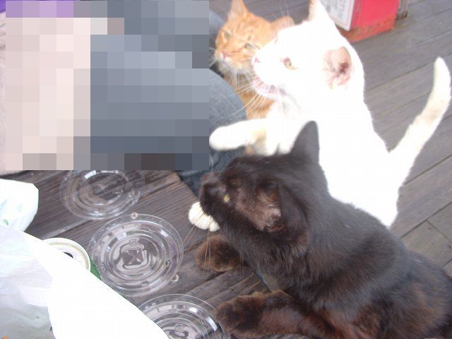 c0187403_1437134.jpg