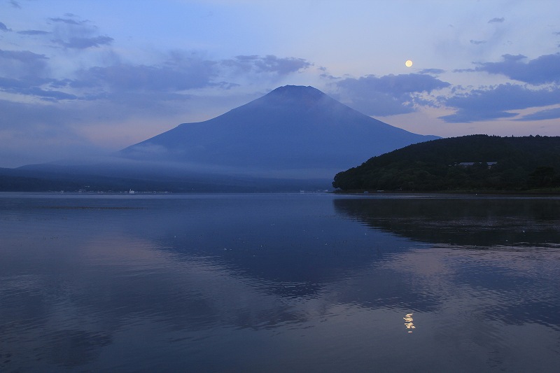 a0188405_21333234.jpg