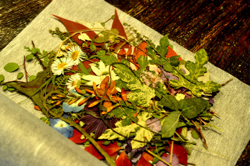 f0188408_1315212.jpg