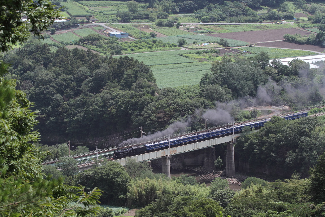 b0190710_722666.jpg