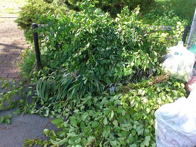 f0100911_2115799.jpg