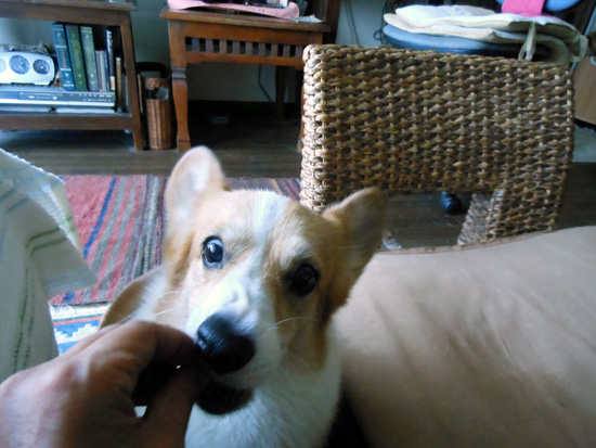 e0071225_2359317.jpg