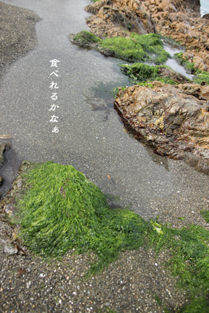 d0042827_18473141.jpg