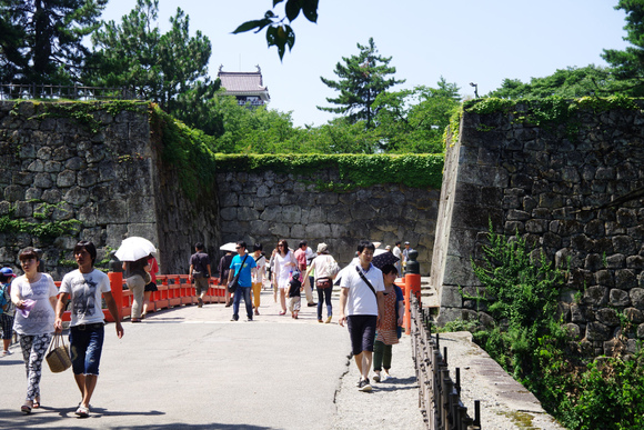 d0250028_7293039.jpg