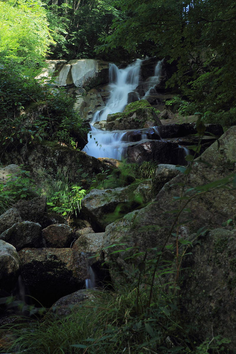 b0222029_854210.jpg