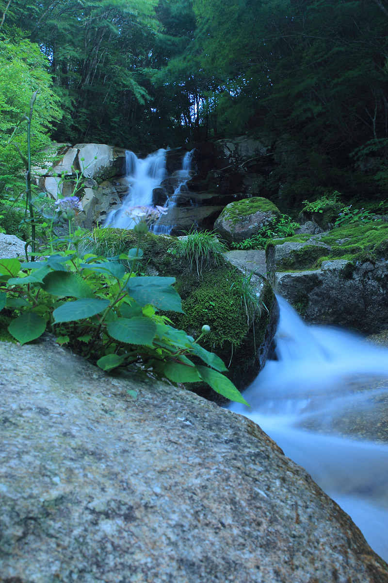 b0222029_872467.jpg