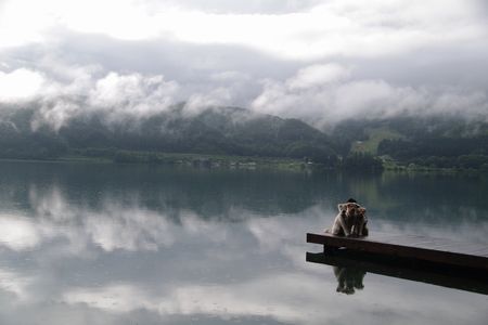 d0104029_1715716.jpg