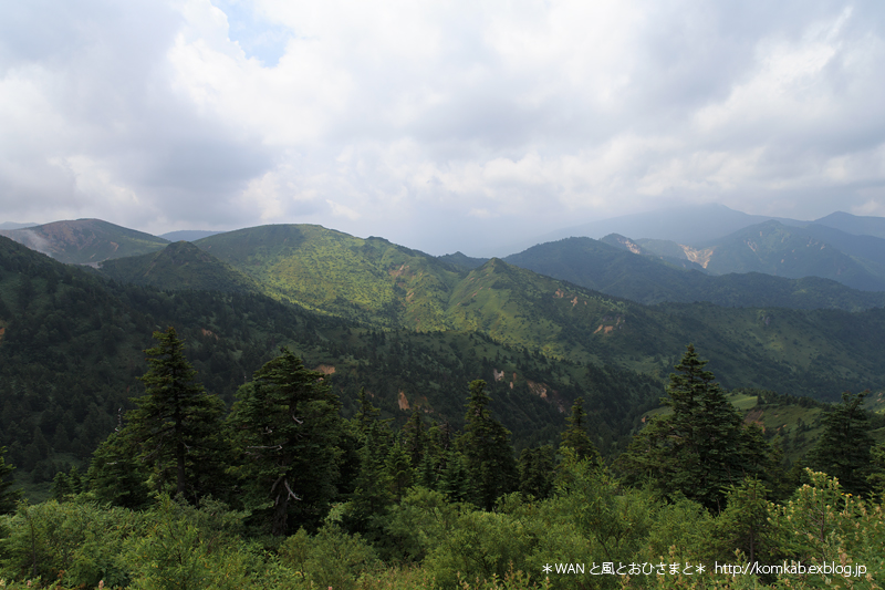 d0289733_22112484.jpg
