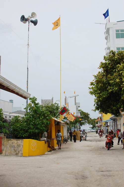 a0023740_083411.jpg
