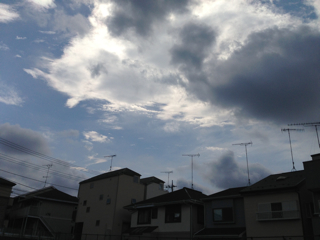 f0179947_1355876.jpg