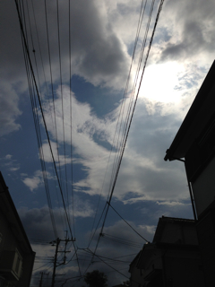 f0179947_136569.jpg