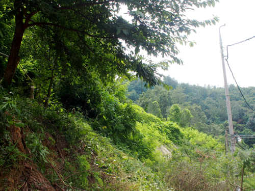 f0035251_1532731.jpg