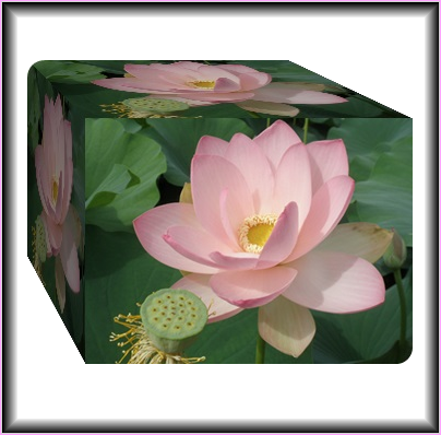 b0133752_20335938.png