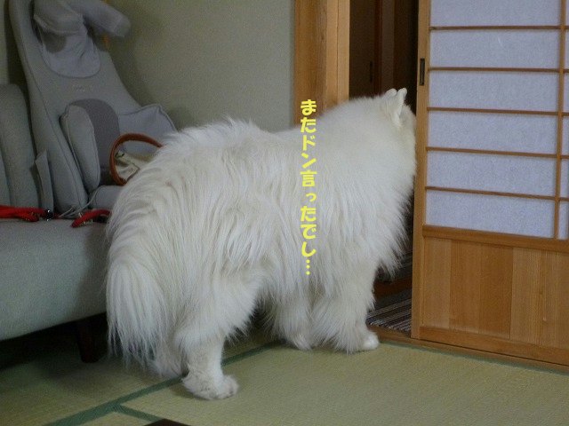 e0176159_21222382.jpg
