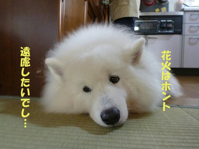 e0176159_21223012.jpg