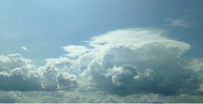 e0136066_1792350.jpg