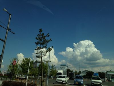 e0136066_1792597.jpg