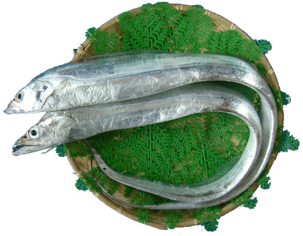 f0207669_9195014.jpg