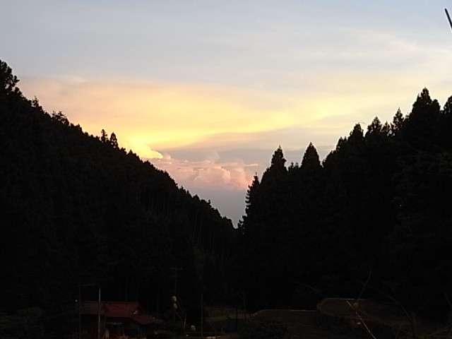 a0146070_554925.jpg