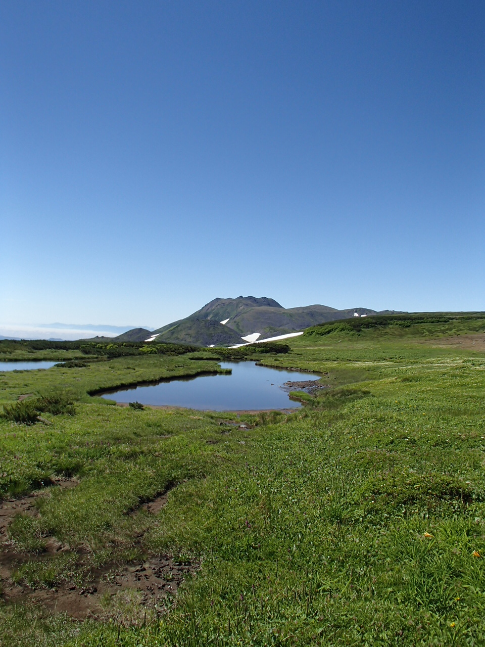 f0130376_1930136.jpg