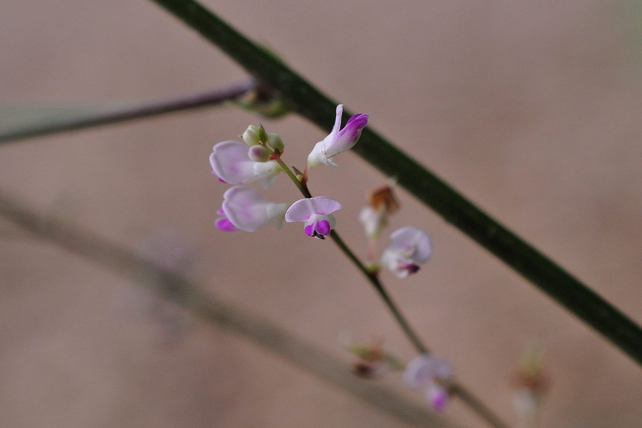 d0328977_1043479.jpg