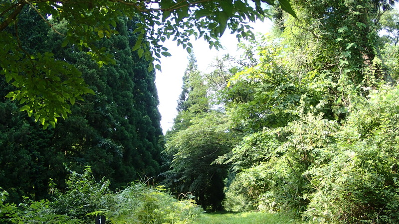 e0024081_19383628.jpg