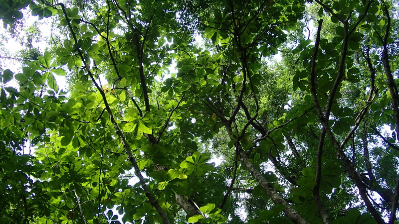 e0024081_19411651.jpg