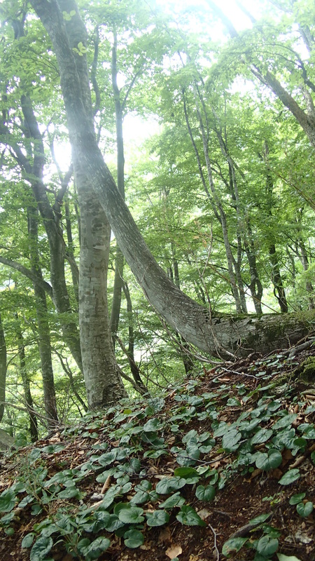e0024081_19415922.jpg