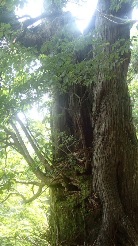 e0024081_19452867.jpg