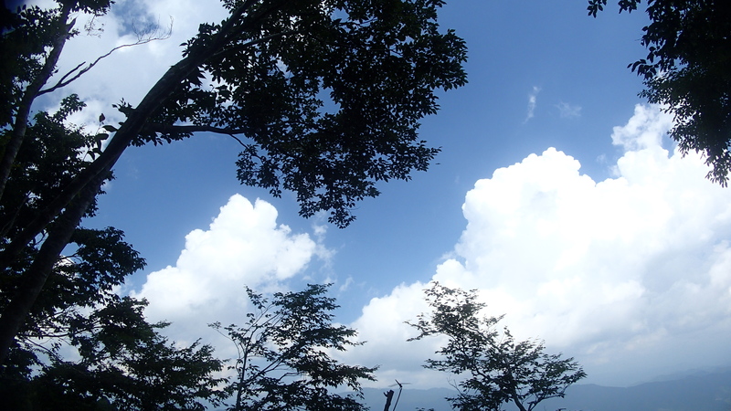 e0024081_19463045.jpg