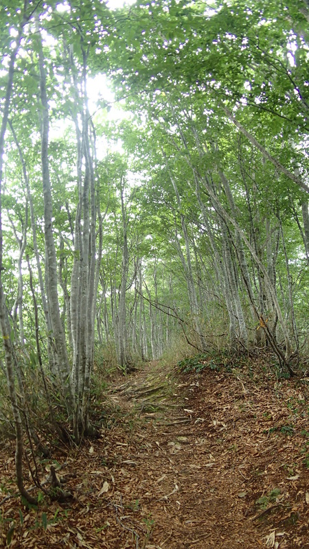 e0024081_19481694.jpg