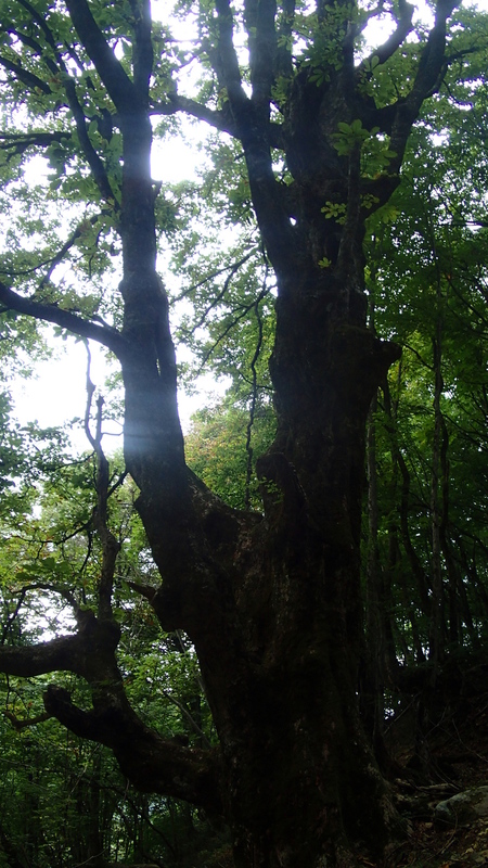 e0024081_19541939.jpg