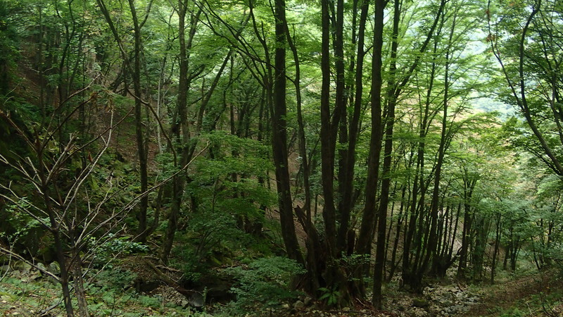 e0024081_1954566.jpg