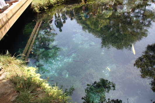 a0216086_15545393.jpg