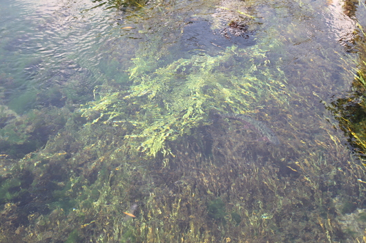 a0216086_1611231.jpg