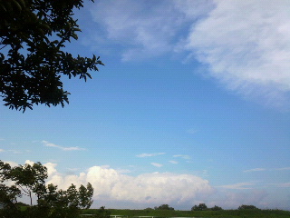 d0247789_17255824.jpg