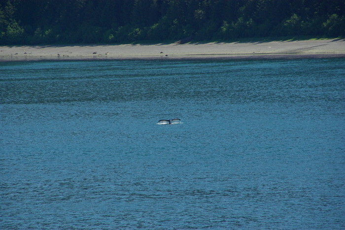f0268294_2110551.jpg