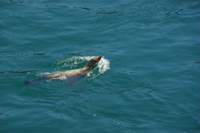 f0268294_21113010.jpg