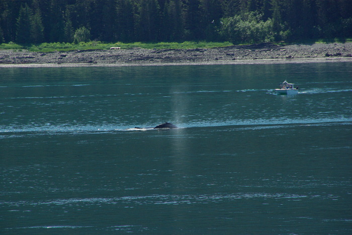 f0268294_21151286.jpg