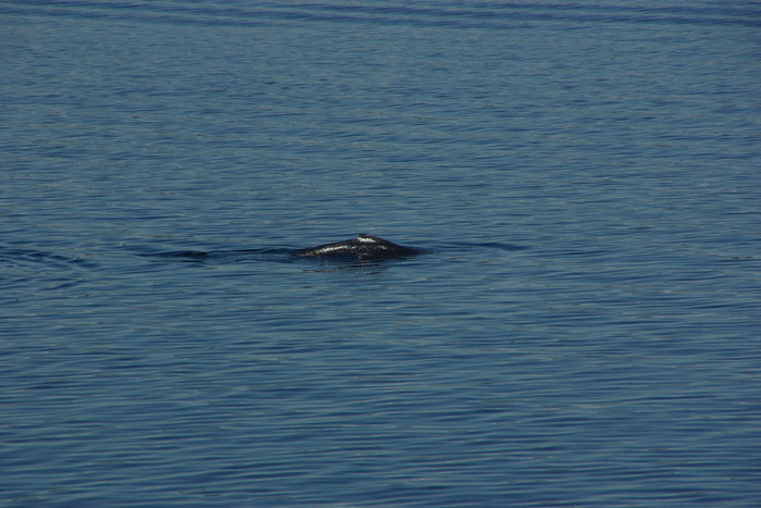 f0268294_214451.jpg