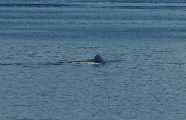 f0268294_2144829.jpg